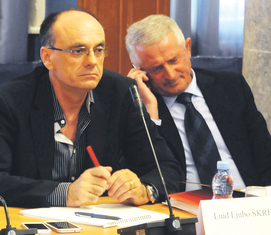 Luiđ Škrelja