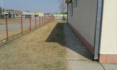 Vrela ribinička