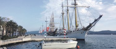 Pine, Tivat