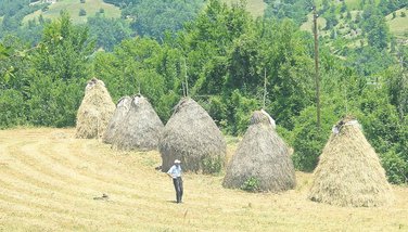 Andrijevica, sijeno