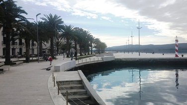 Tivat Pine