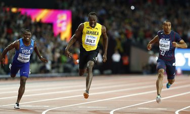 Bolt