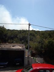 Požar, Luštica