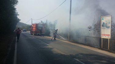 Solila požar