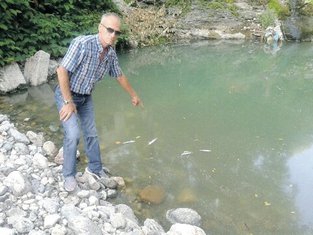 Momir Živković
