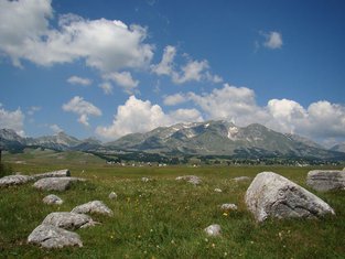 Durmitor