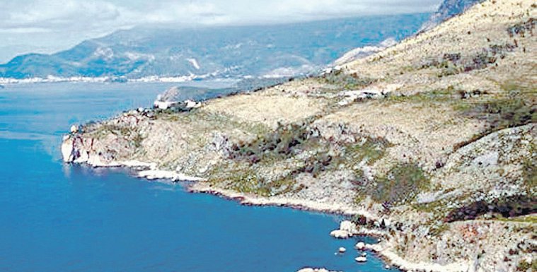 Smokvica