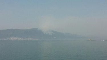 Obosnik