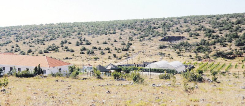 doljani