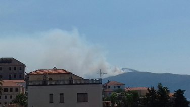 Luštica Požar
