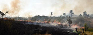 Dajbabska gora požar