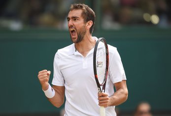 marin Čilić