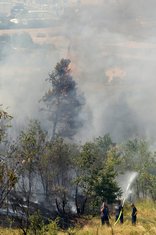 Dajbabska gora požar