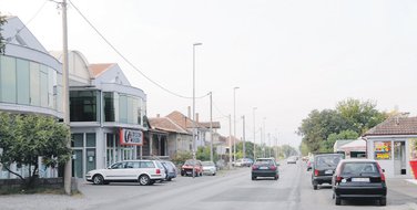 Golubovci
