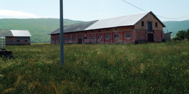 Doganje