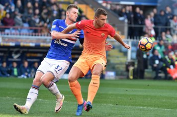 Milan Škrinjar Edin Džeko