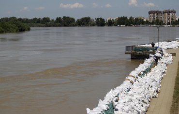 Srbija poplave Sava Sremska Mitrovica