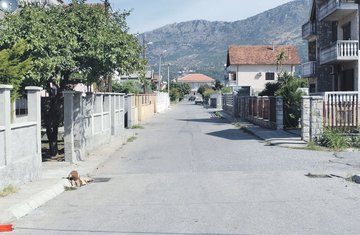 Masline