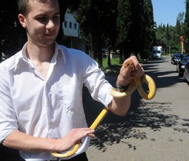 Miloš Pejović smuk