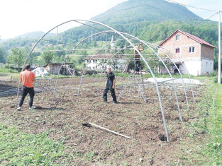 plastenici, plastenik