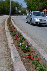 Cvijeće, Herceg Novi, Građanska lista za Herceg Novi-Mišo Škobalj
