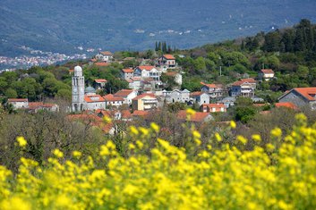 Radovići, Tivat