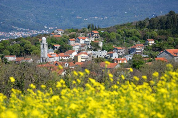Radovići, Tivat