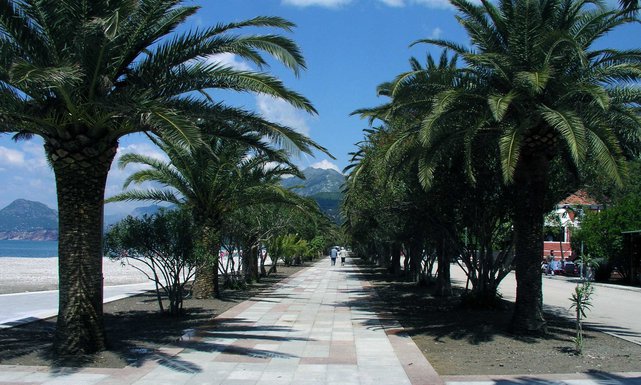 Bar palme