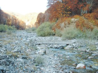 NVO Perućica