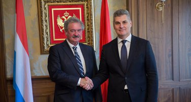 Žan Aselborn, iVAN bRAJOVIĆ