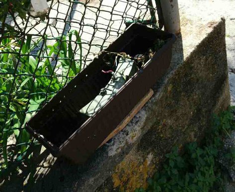 Meljine eksplozivna naprava, Herceg Novi eksplozivna naprava