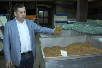 Isat Boljević, Duvanski