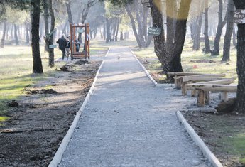 Ćemovsko polje