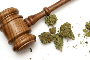 marihuana, suđenje