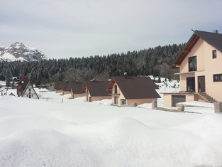 Žabljak Vikendice