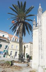 palma Herceg Novi