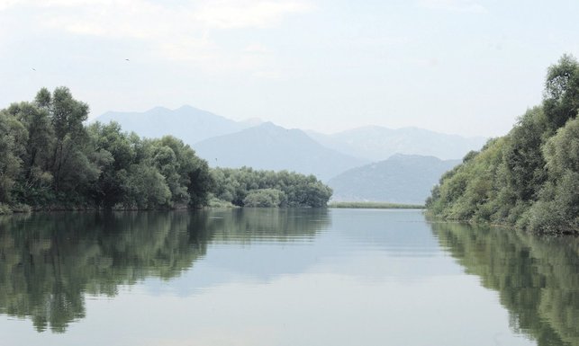 Skadarsko jezero