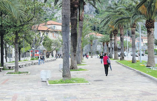 Kotor