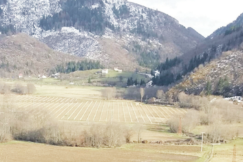 Vrulja