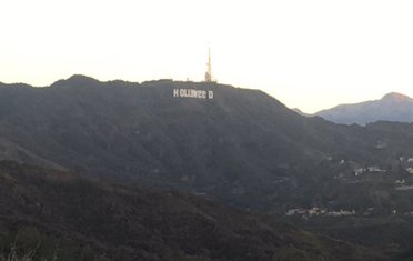 Hollyweed
