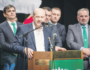 Rafet Husović, Bošnjačka stranka