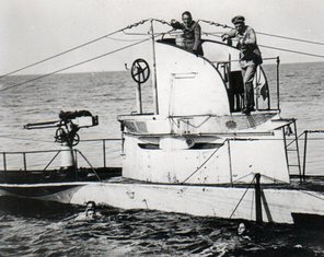 Slavomir Tomić (novina)