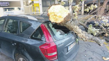 vjetar Podgorica