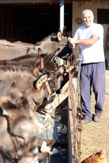 farma magaraca, Darko Saveljić