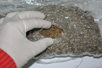 kotor marihuana
