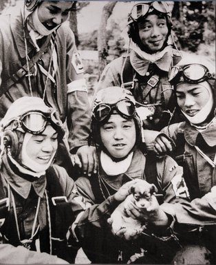 kamikaze