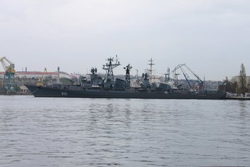 Smetlivi