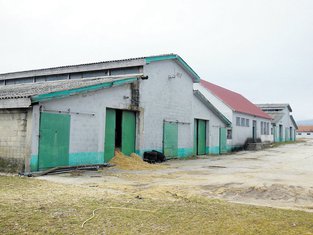 farma, Kapino polje