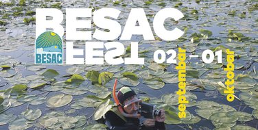 Besac fest