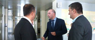 Vladimir Kavarić, Veselin Grbović